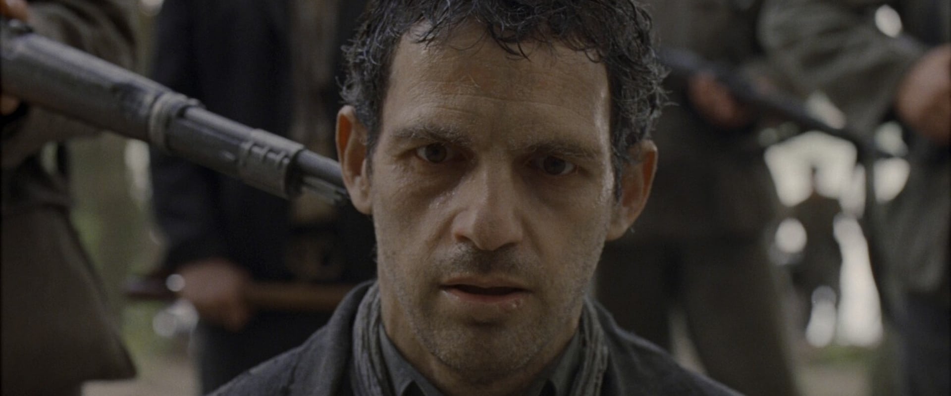 Son of Saul 2015