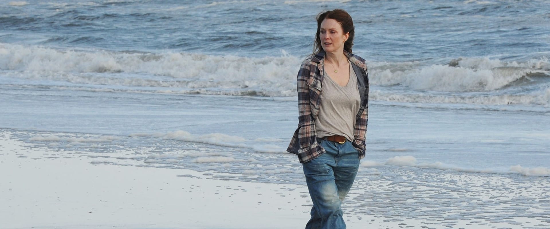 Still Alice 2014