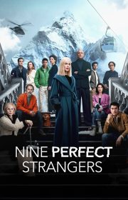 دانلود سریال نه غریبه کامل Nine Perfect Strangers بدون سانسور با زیرنویس فارسی چسبیده