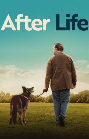 دانلود سریال After Life بدون سانسور با زیرنویس فارسی چسبیده