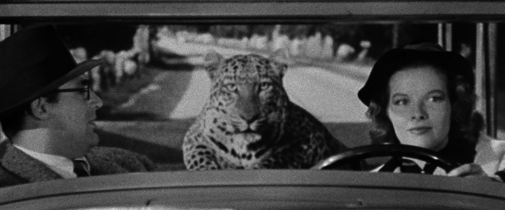 Bringing Up Baby 1938
