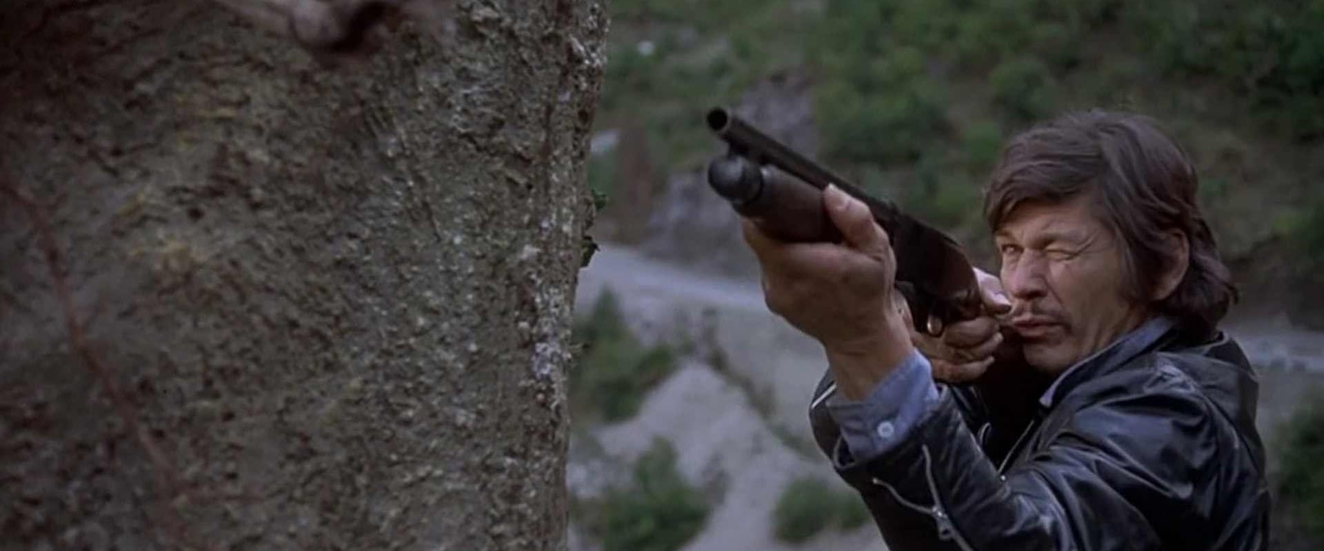 The Mechanic 1972