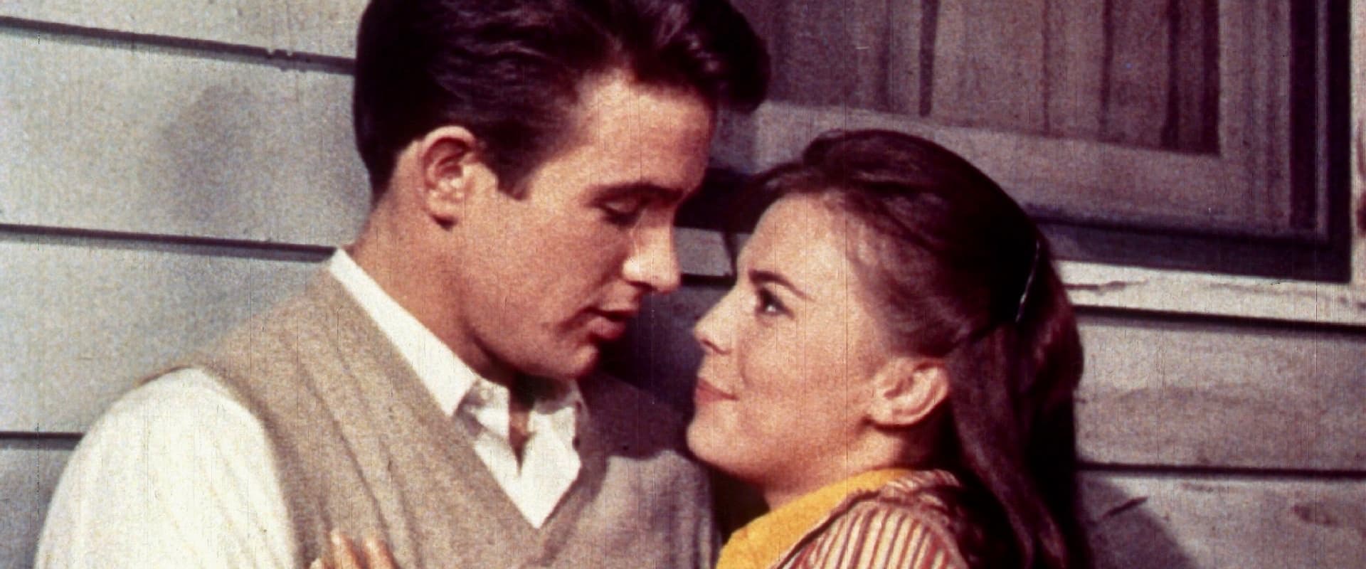 Splendor in the Grass 1961