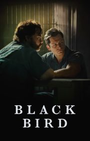 دانلود سریال پرنده سیاه Black Bird بدون سانسور با زیرنویس فارسی چسبیده