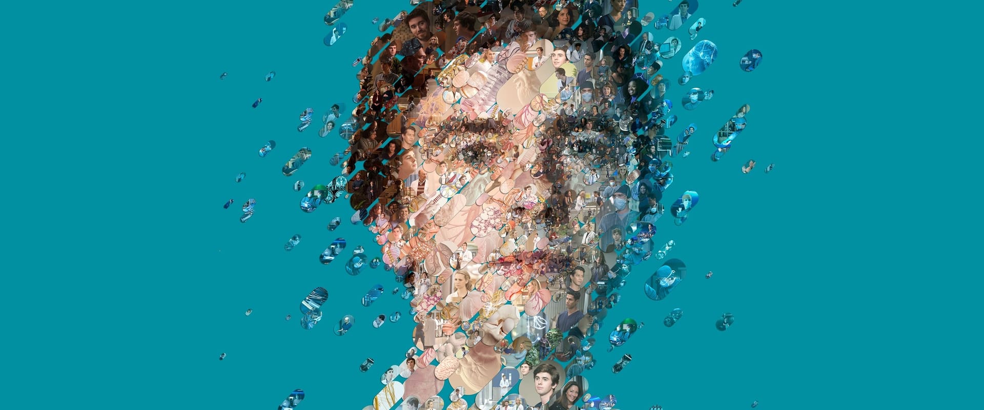 The Good Doctor 2017