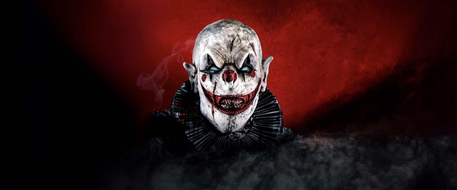 The Jack in the Box Rises 2024