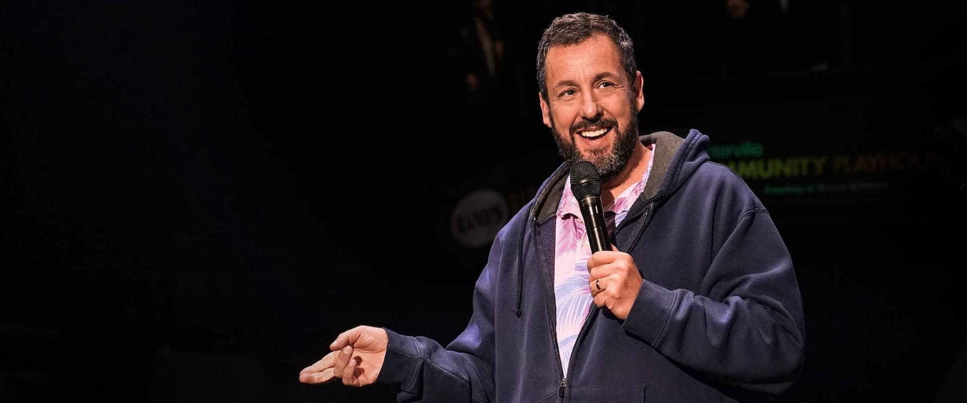 Adam Sandler: Love You 2024