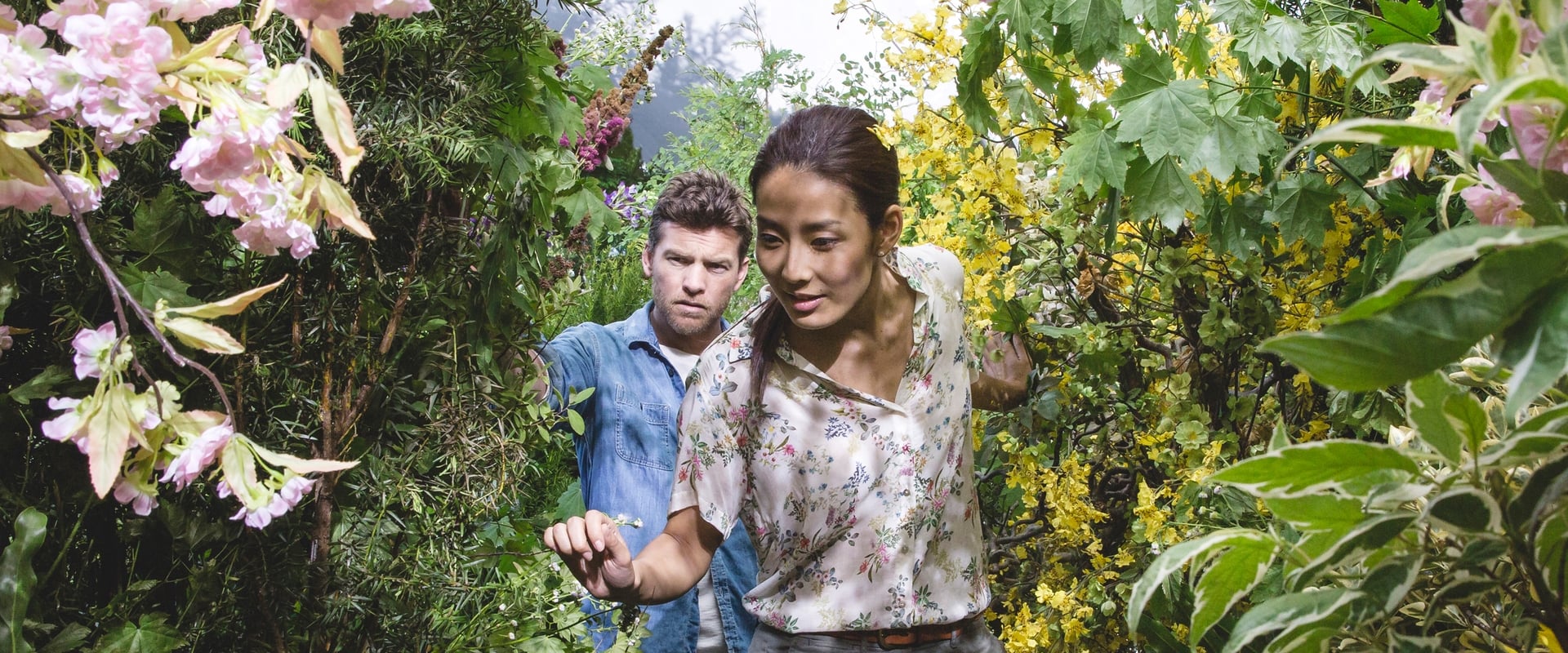 The Shack 2017