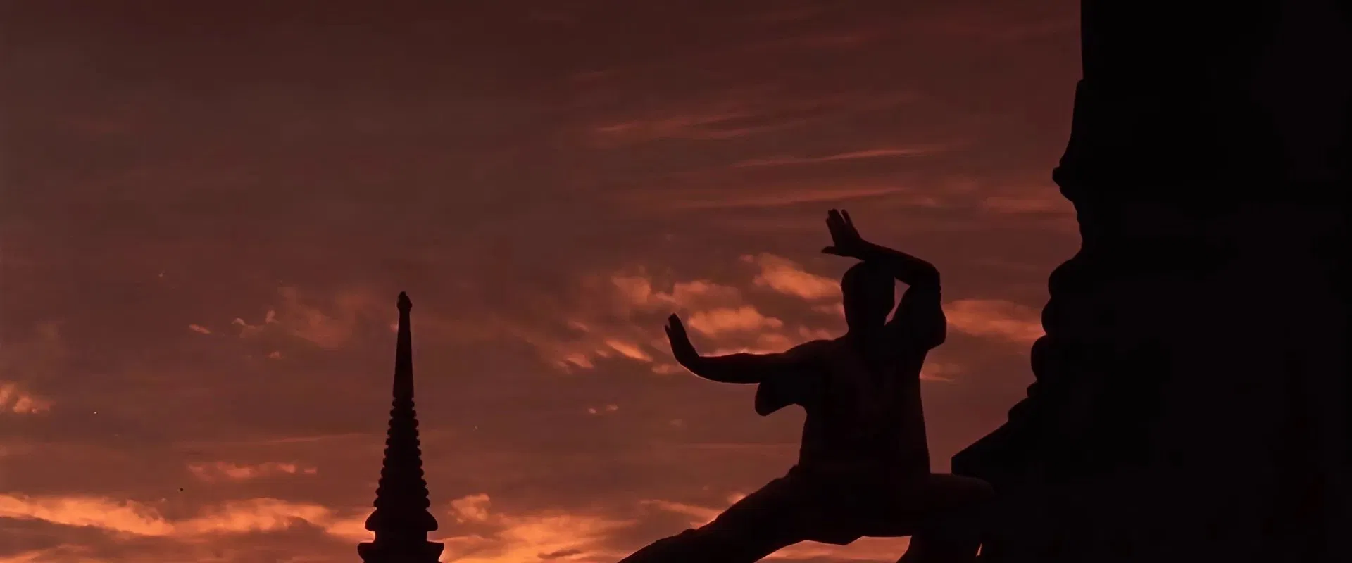 Kickboxer 1989