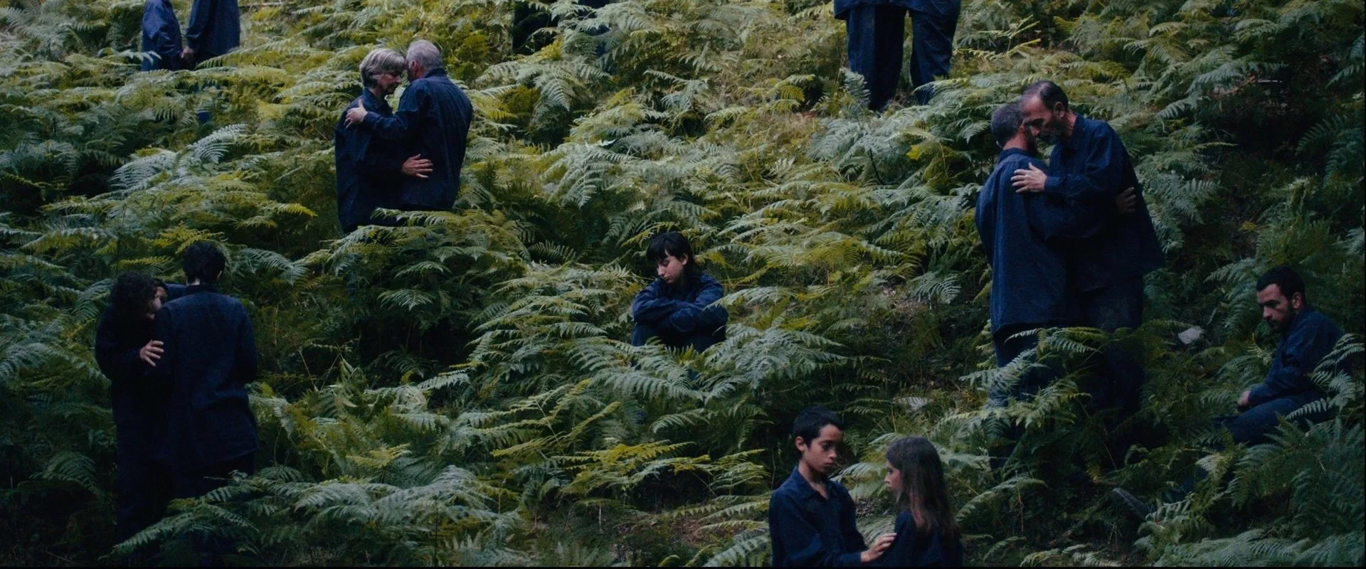 The Human Hibernation 2024