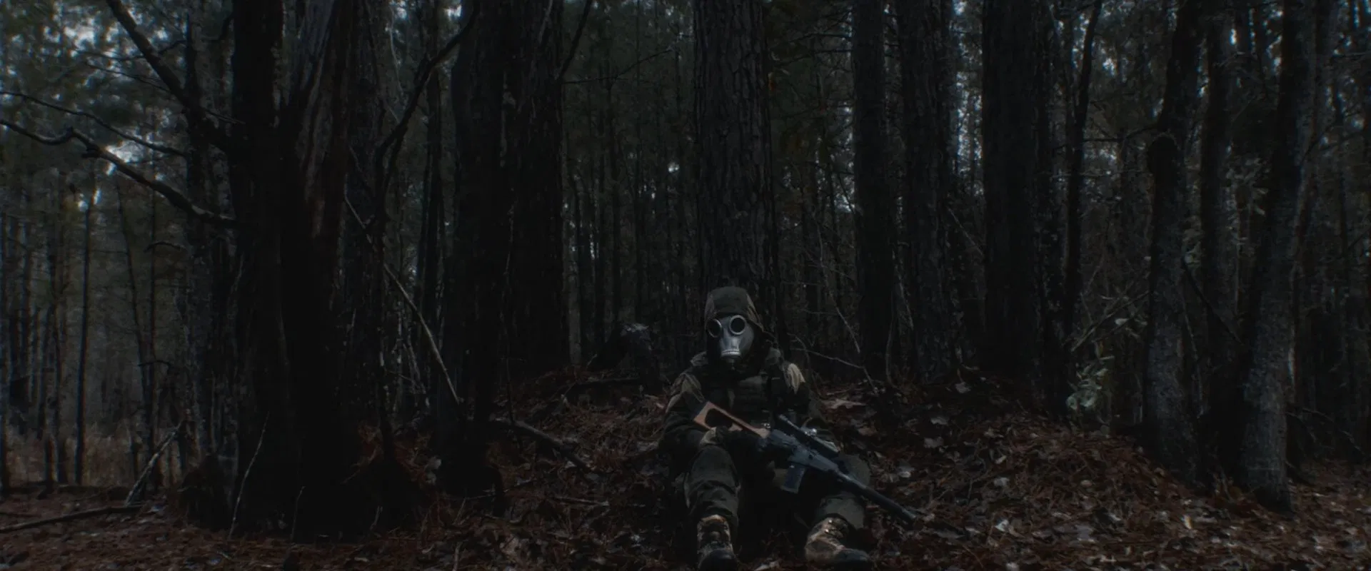 S.T.A.L.K.E.R.: Shadow of the Zone 2024