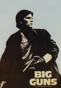 دانلود فیلم Big Guns 1973