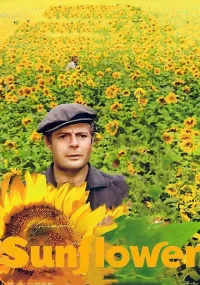 دانلود فیلم Sunflower 1970