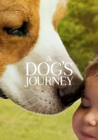 دانلود فیلم A Dog's Journey 2019